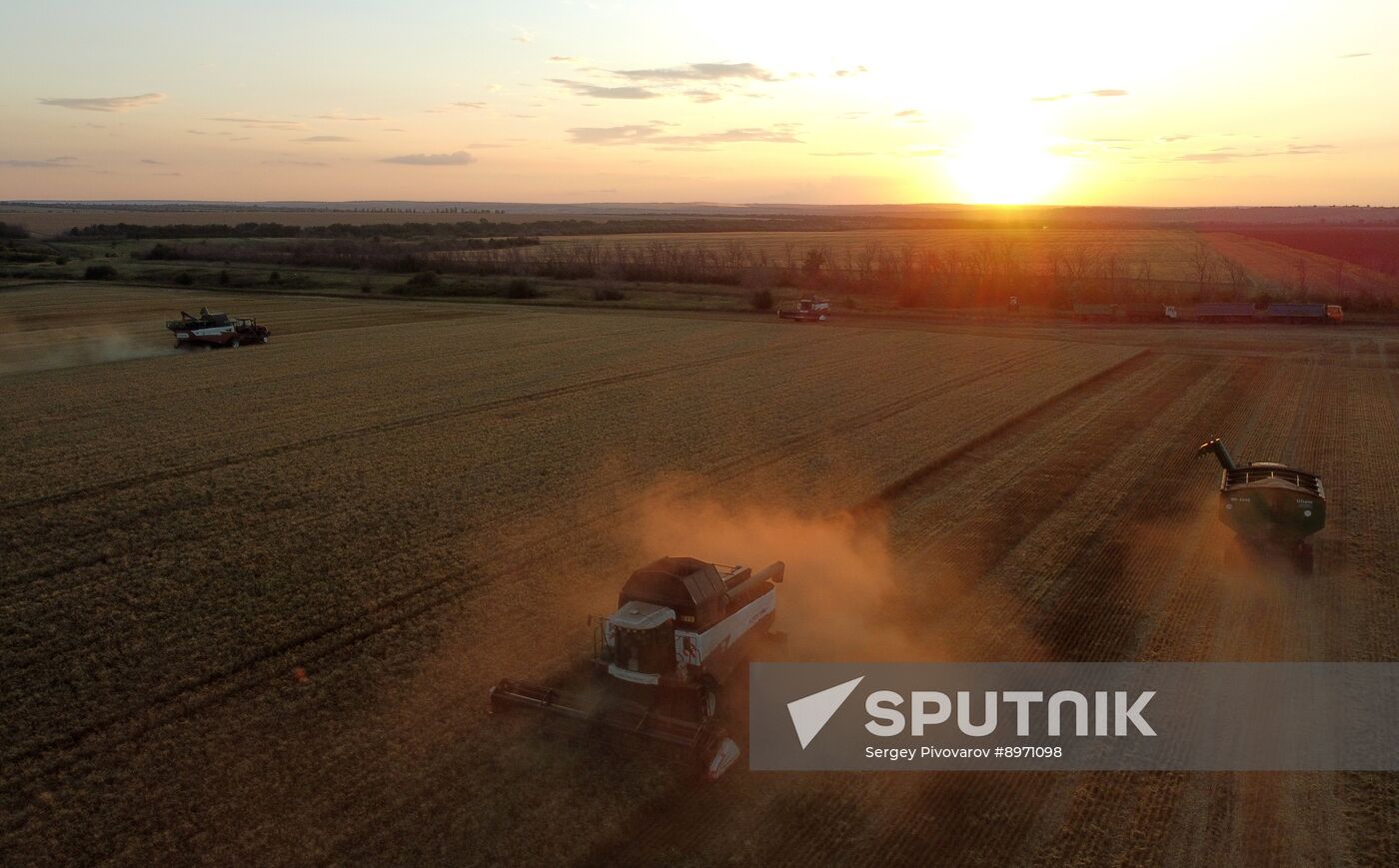 Russia Agriculture Wheat Harvesting