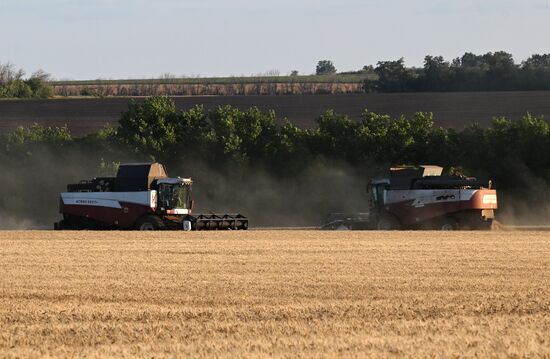 Russia Agriculture Wheat Harvesting
