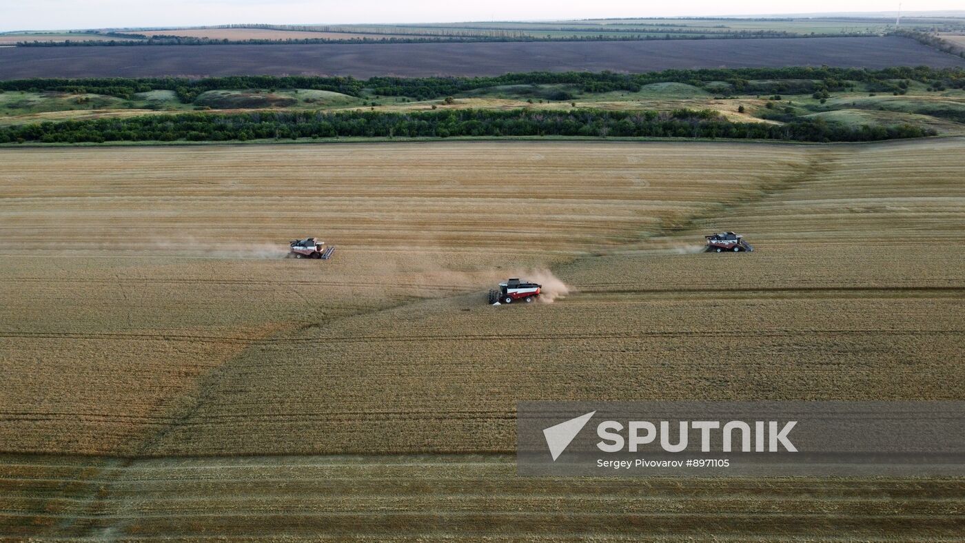 Russia Agriculture Wheat Harvesting