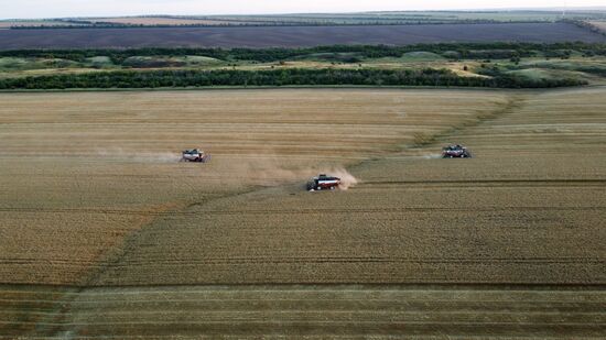 Russia Agriculture Wheat Harvesting
