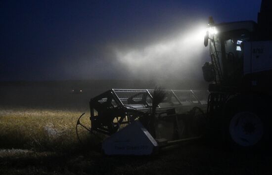 Russia Agriculture Wheat Harvesting