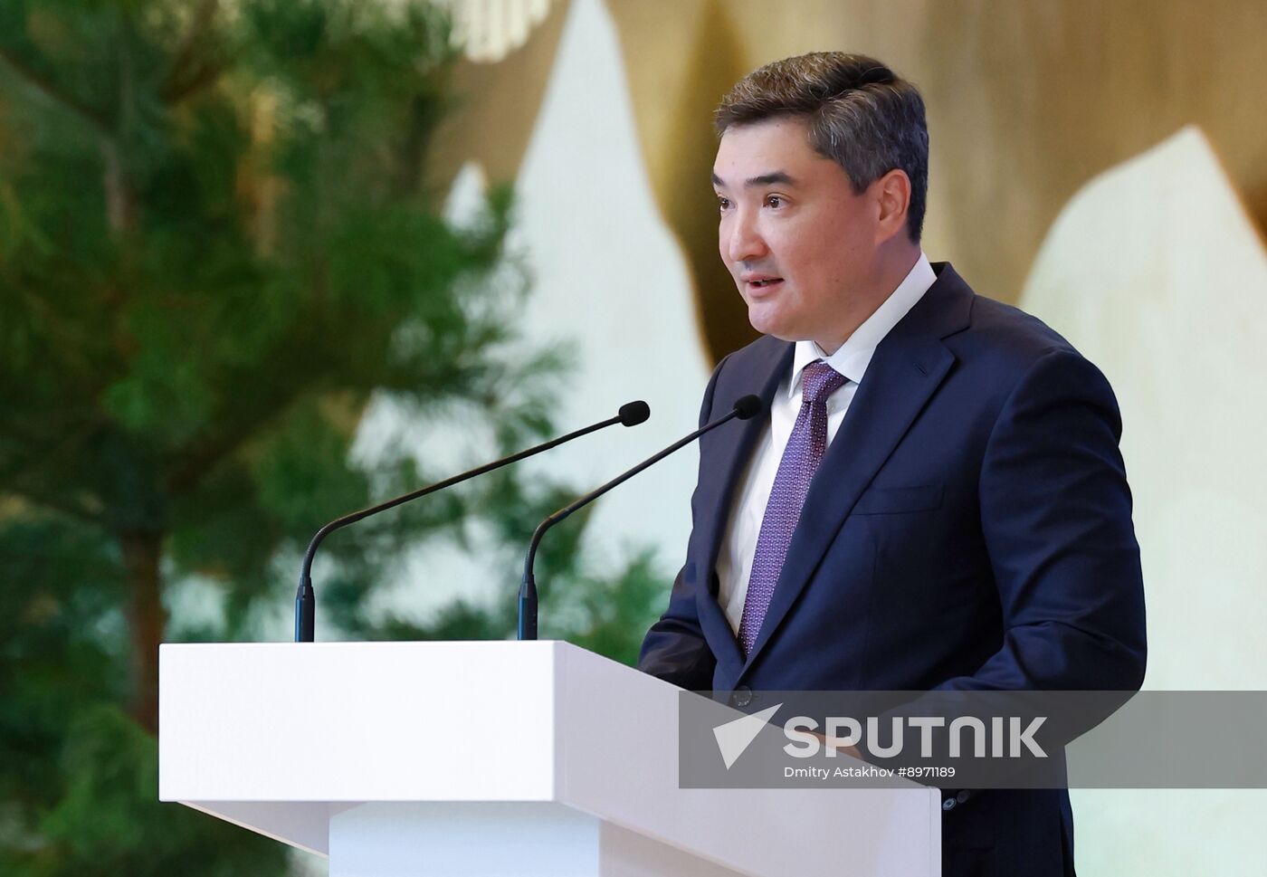 Russia Mishustin Siberian Federal District