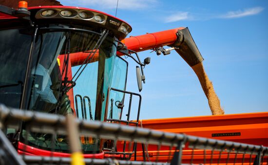 Russia Agriculture Wheat Harvesting