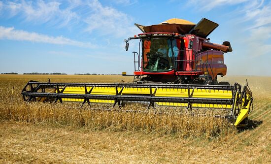Russia Agriculture Wheat Harvesting