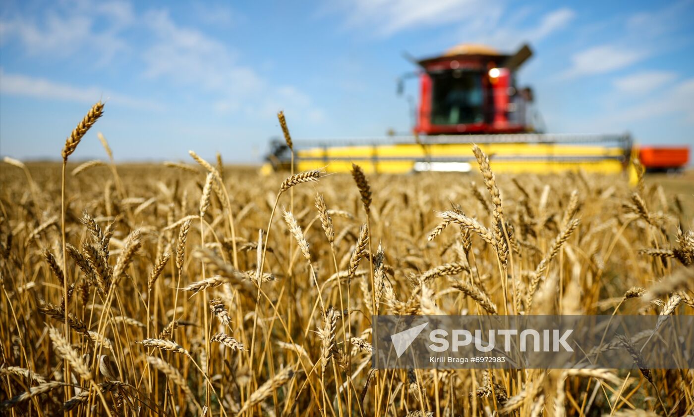Russia Agriculture Wheat Harvesting