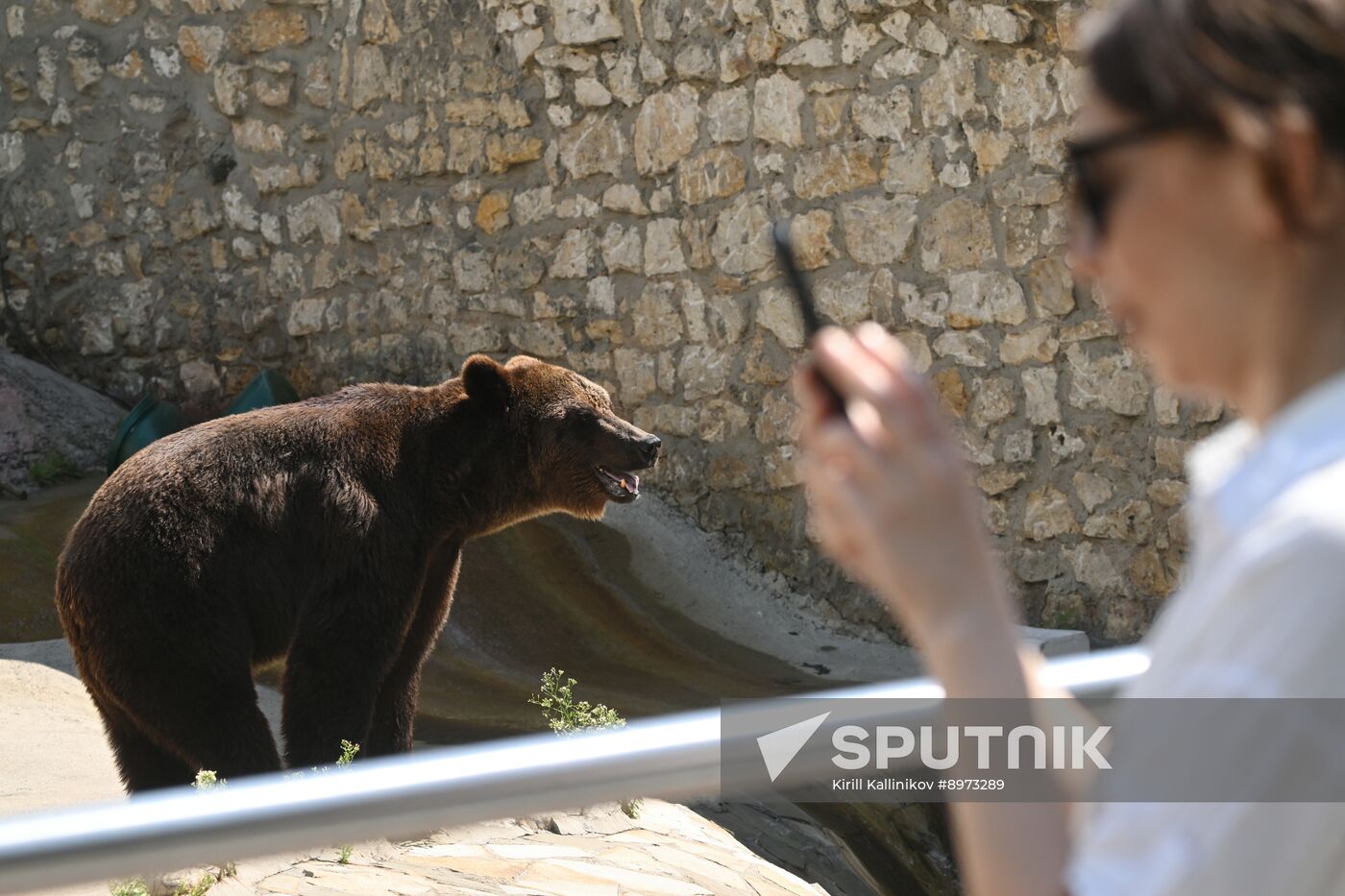 Russia Zoo