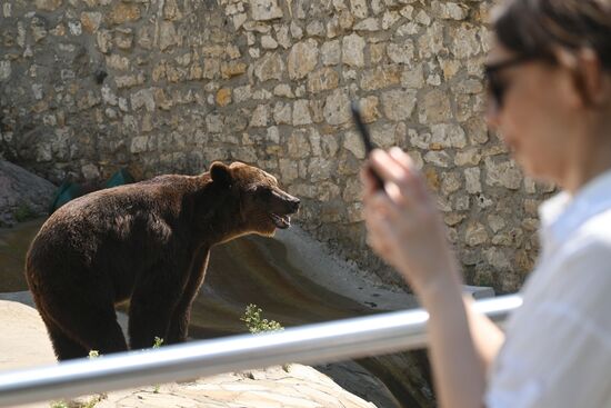 Russia Zoo