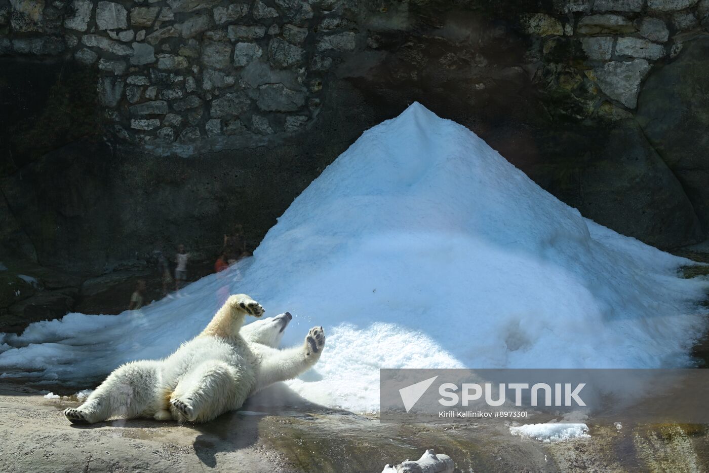 Russia Zoo