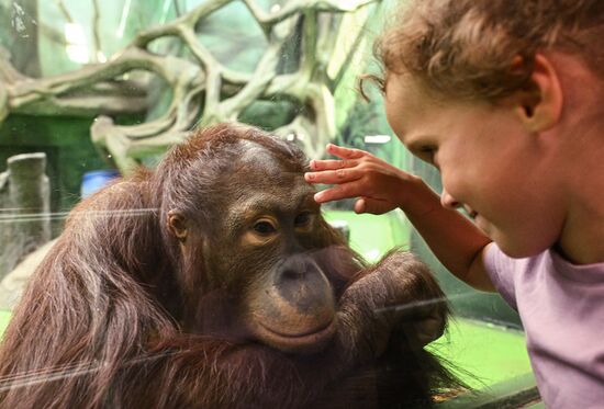 Russia Zoo