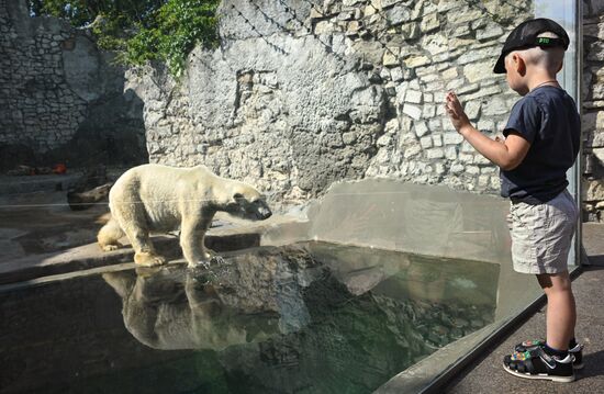 Russia Zoo