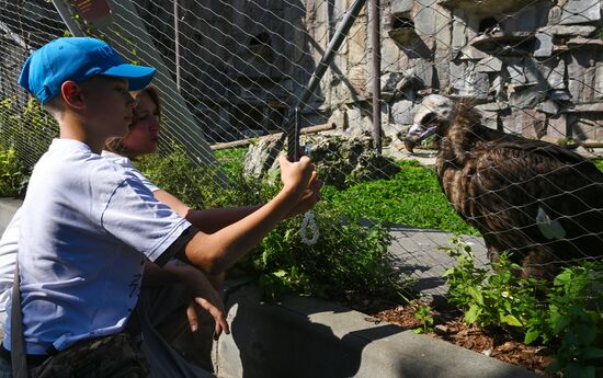 Russia Zoo
