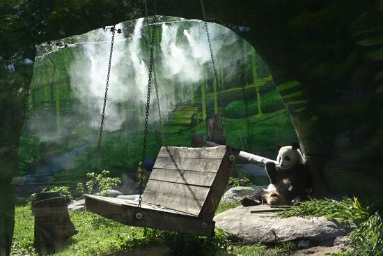Russia Zoo