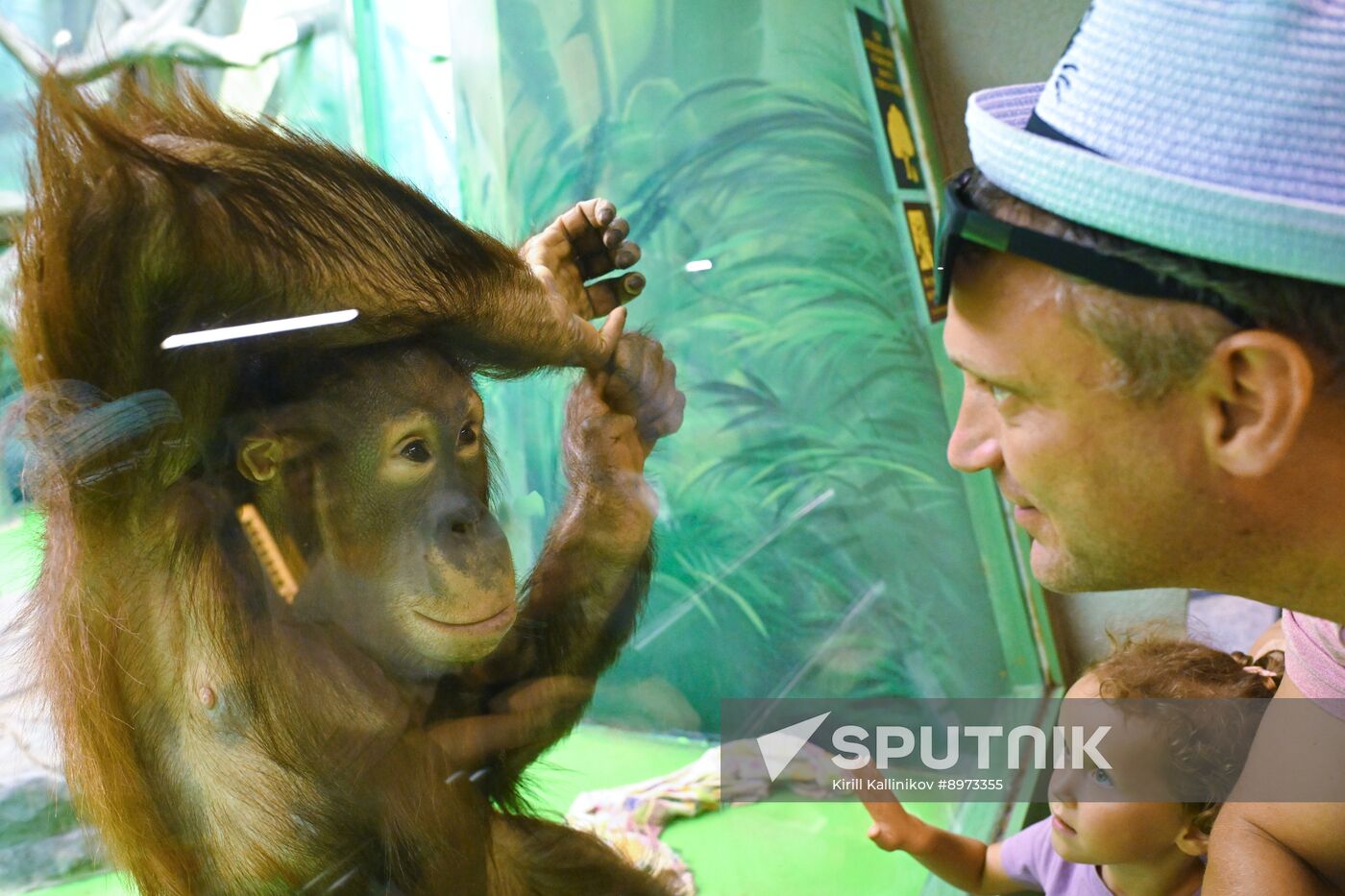 Russia Zoo