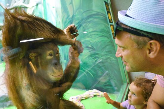 Russia Zoo