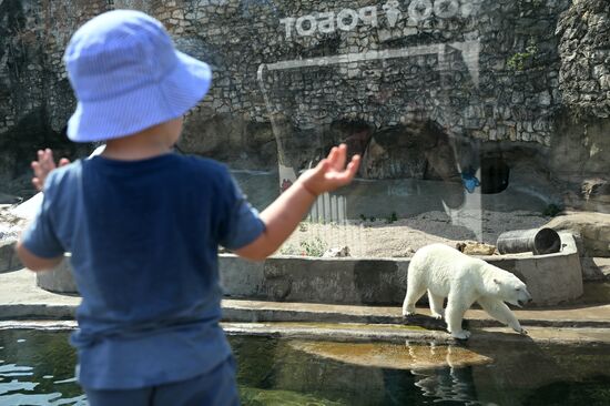 Russia Zoo
