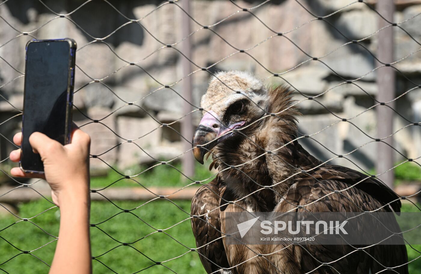 Russia Zoo