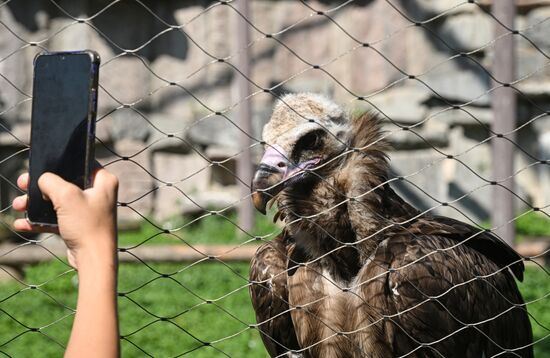Russia Zoo
