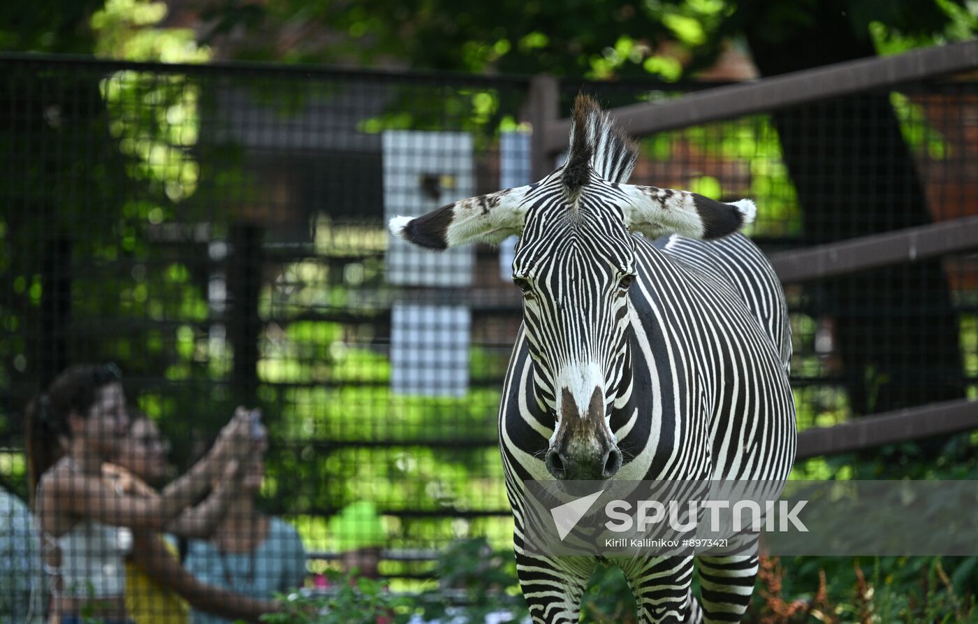 Russia Zoo