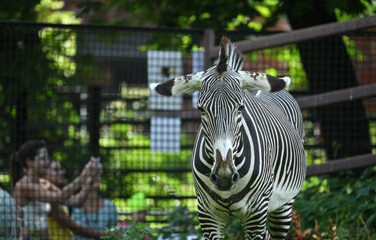 Russia Zoo
