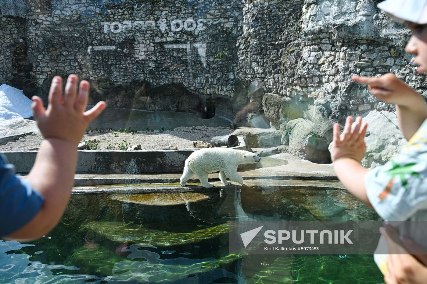 Russia Zoo