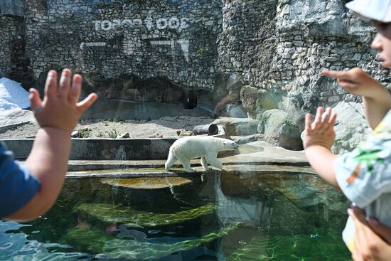 Russia Zoo
