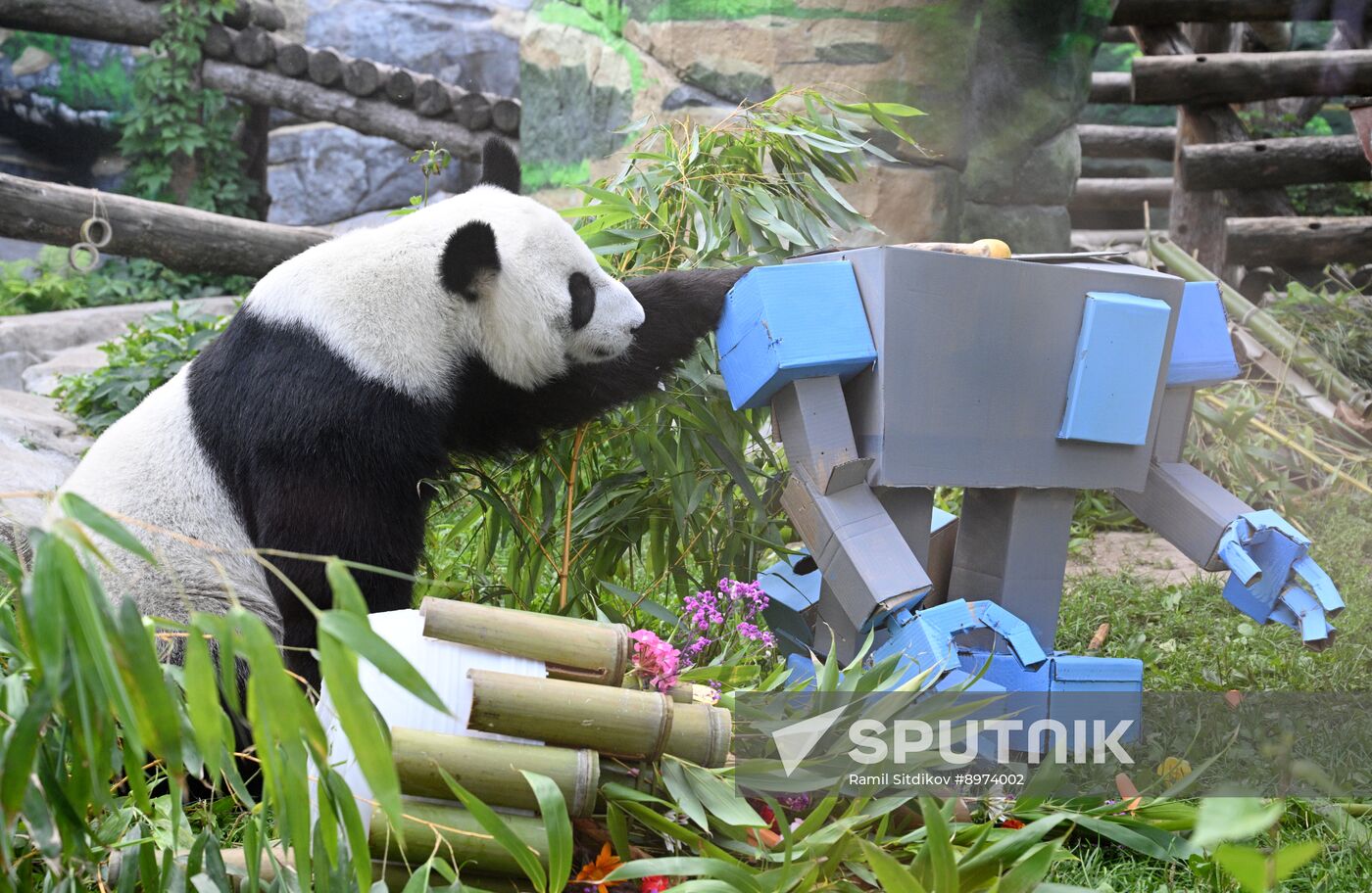 Russia Zoo Panda Birthday