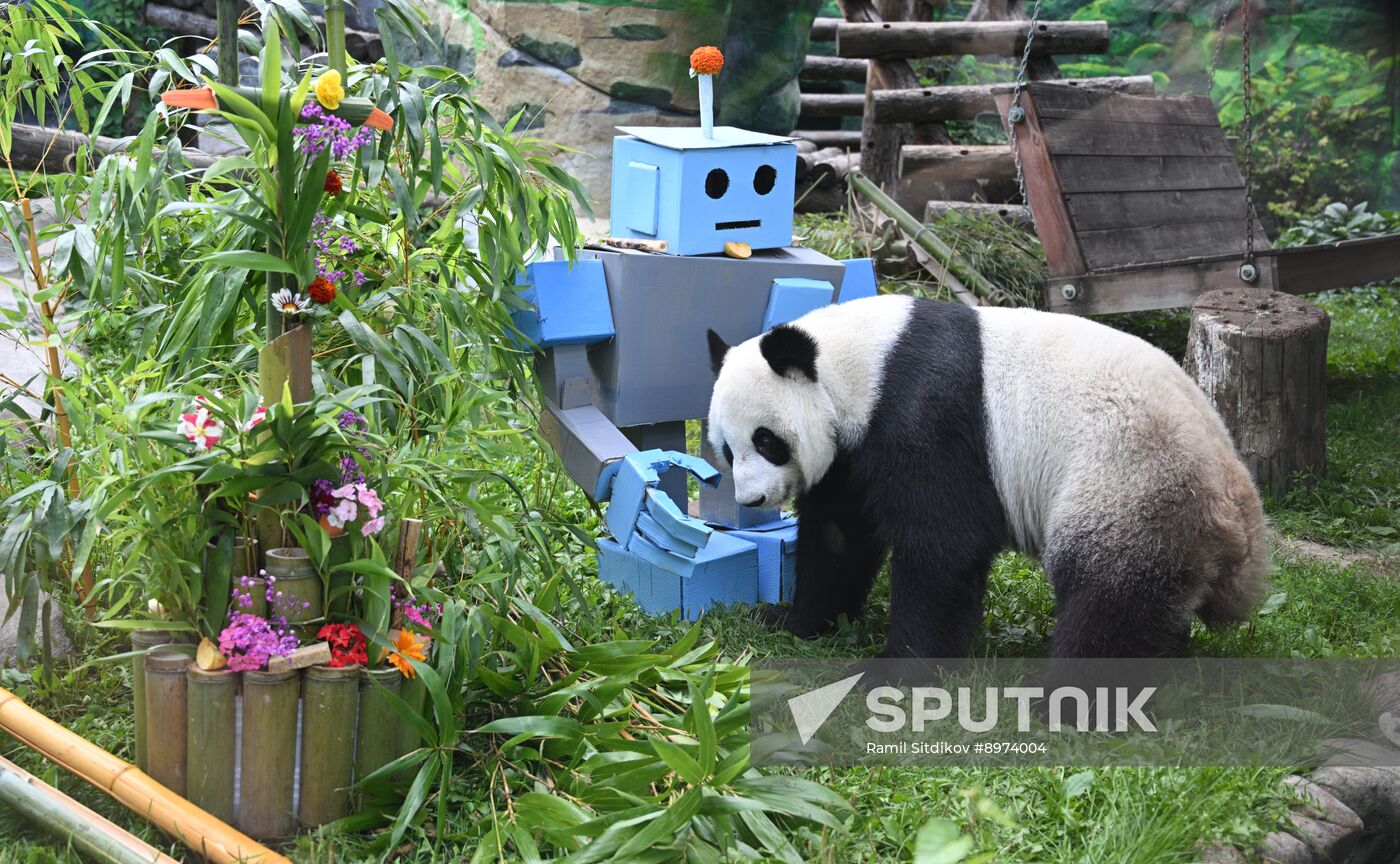 Russia Zoo Panda Birthday