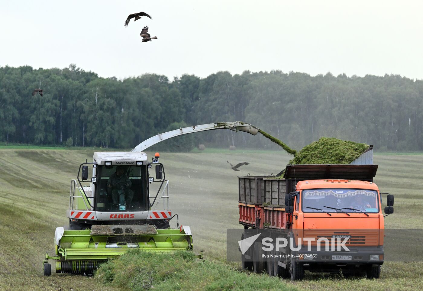 Russia Agriculture Alfalfa Harvesting