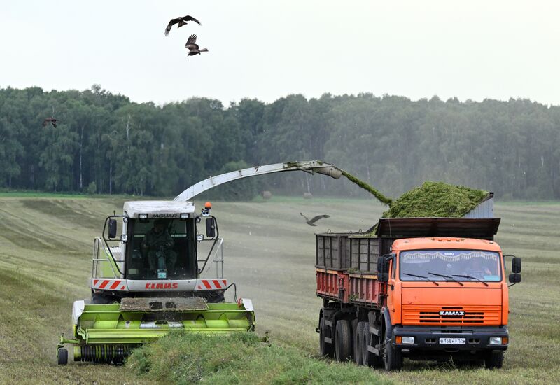Russia Agriculture Alfalfa Harvesting