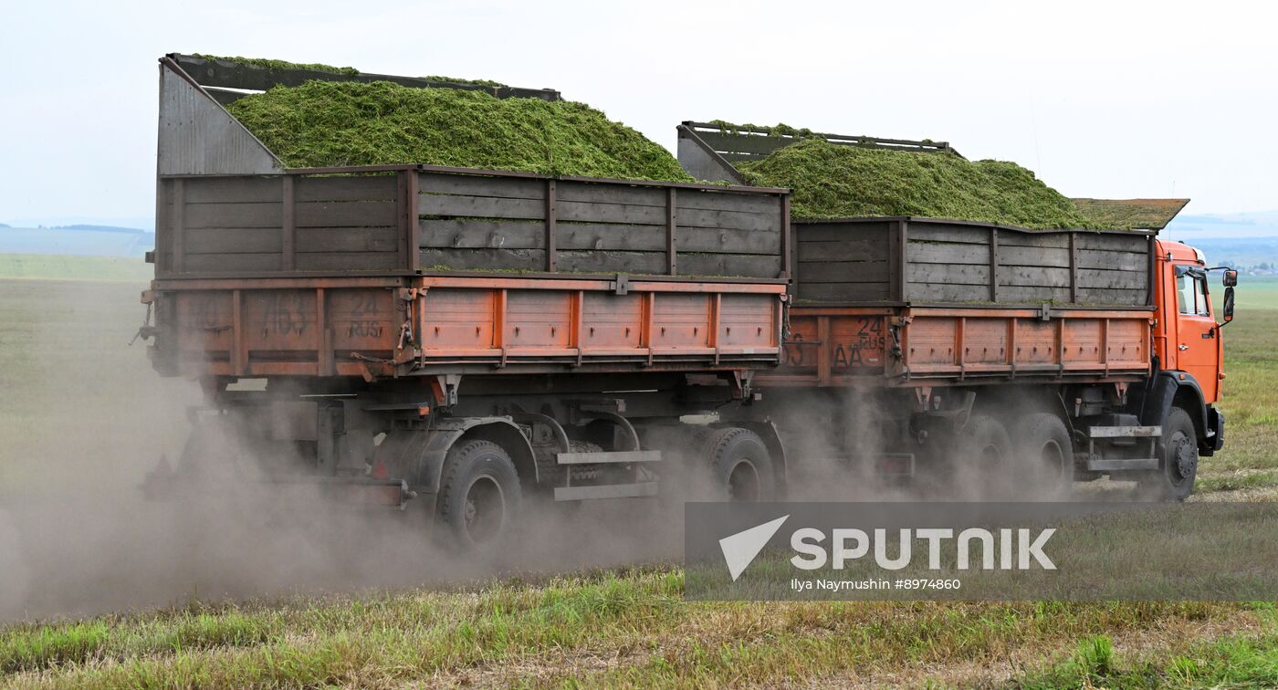 Russia Agriculture Alfalfa Harvesting