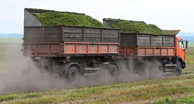 Russia Agriculture Alfalfa Harvesting