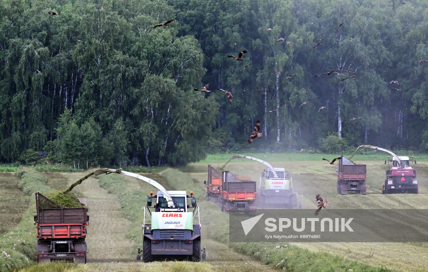 Russia Agriculture Alfalfa Harvesting