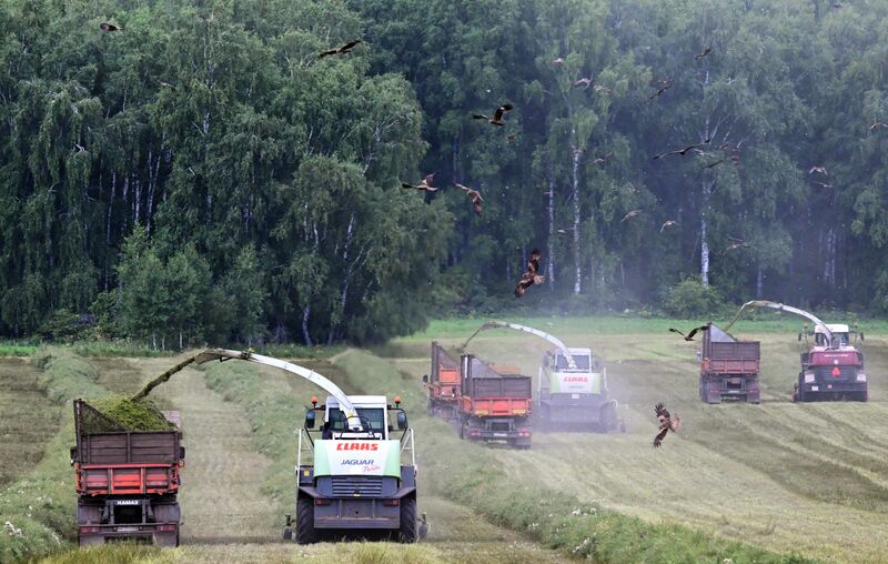 Russia Agriculture Alfalfa Harvesting