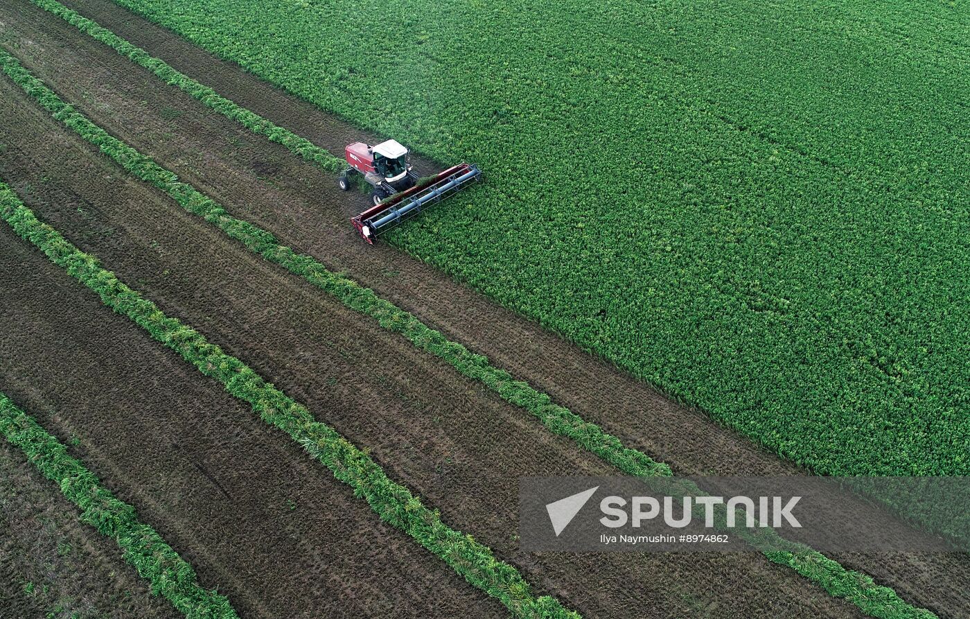 Russia Agriculture Alfalfa Harvesting