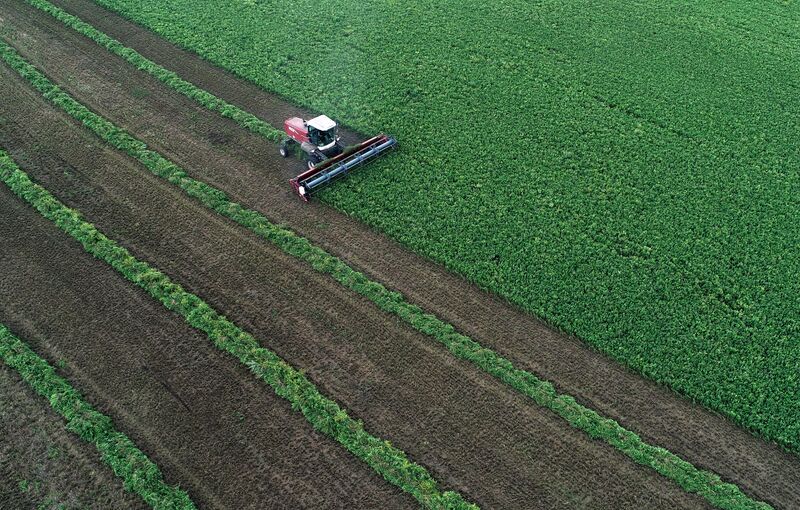 Russia Agriculture Alfalfa Harvesting