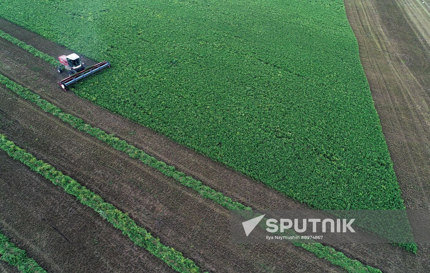 Russia Agriculture Alfalfa Harvesting