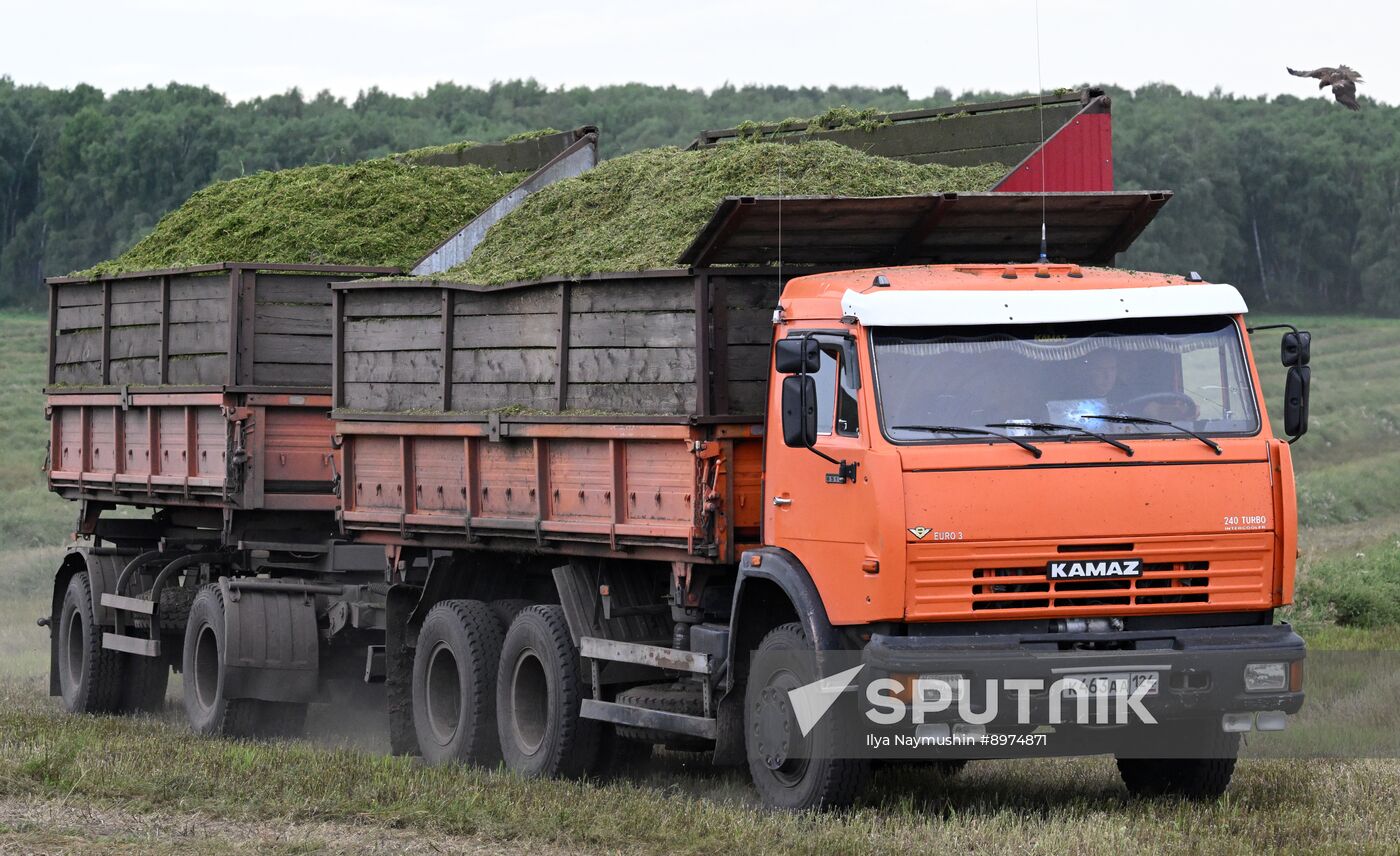 Russia Agriculture Alfalfa Harvesting