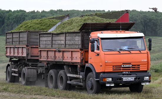 Russia Agriculture Alfalfa Harvesting