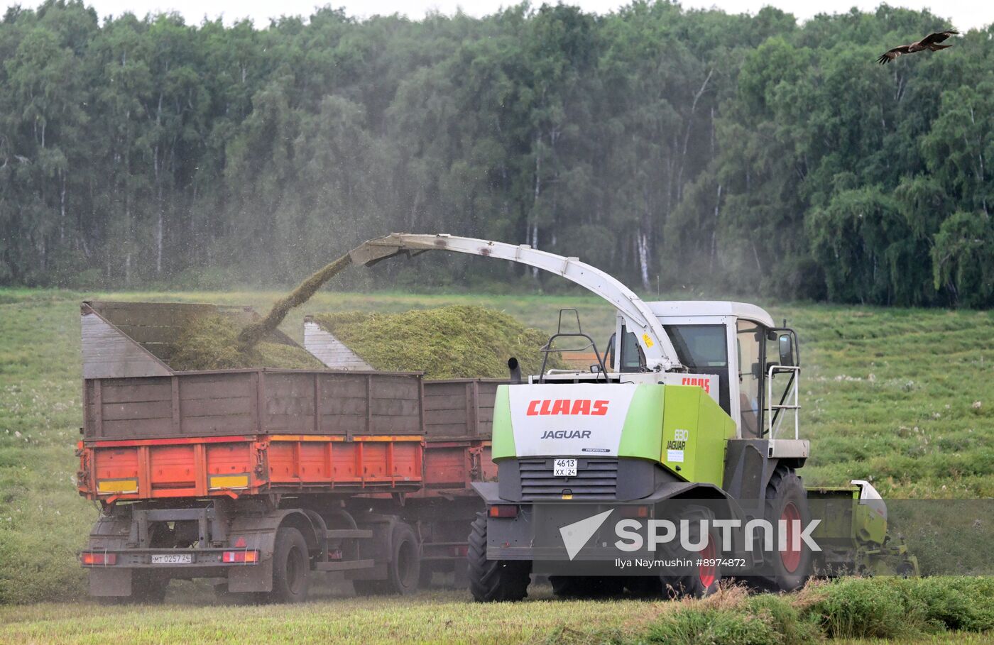 Russia Agriculture Alfalfa Harvesting