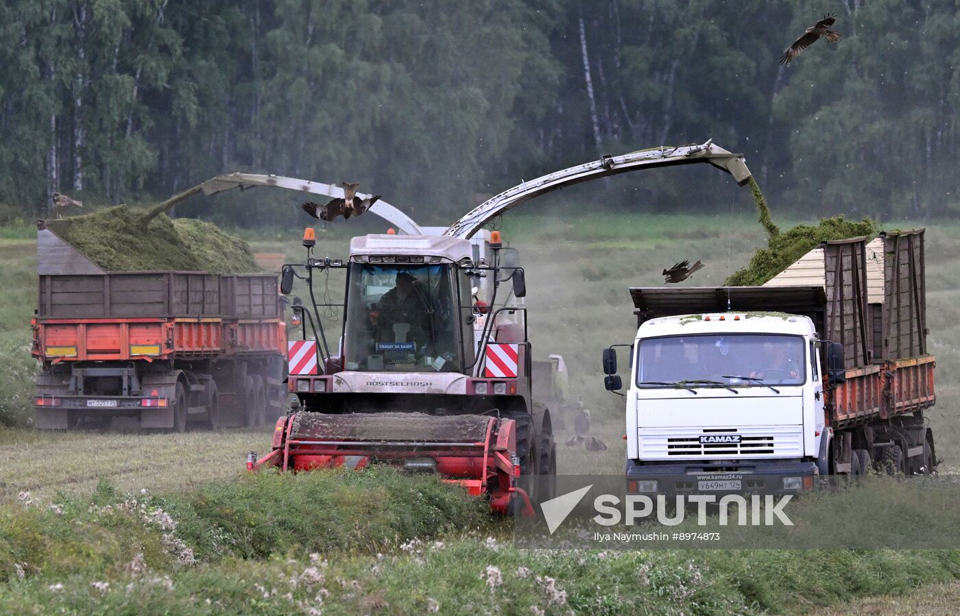 Russia Agriculture Alfalfa Harvesting