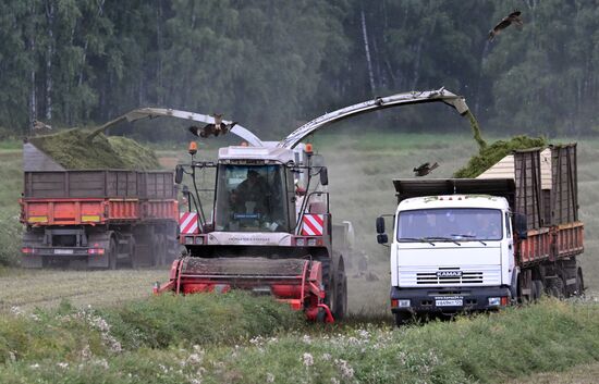 Russia Agriculture Alfalfa Harvesting