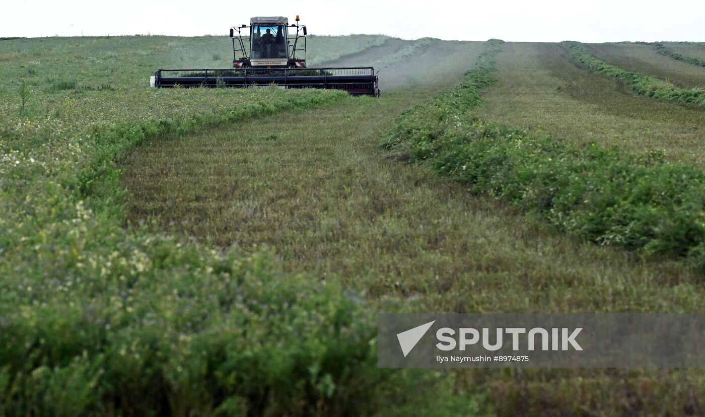Russia Agriculture Alfalfa Harvesting