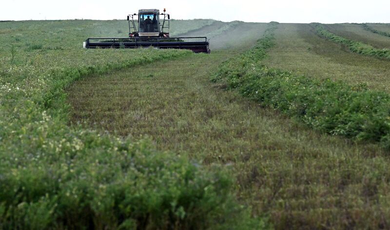 Russia Agriculture Alfalfa Harvesting