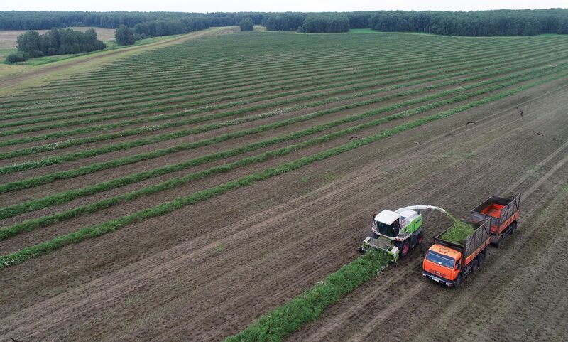 Russia Agriculture Alfalfa Harvesting