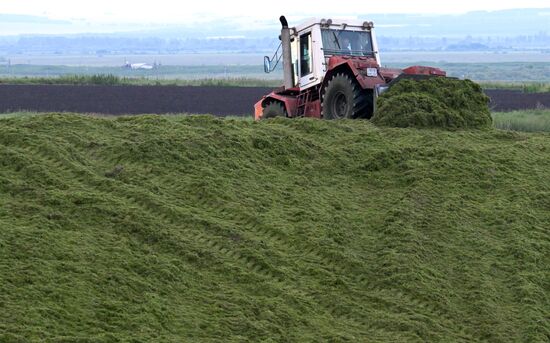 Russia Agriculture Alfalfa Harvesting