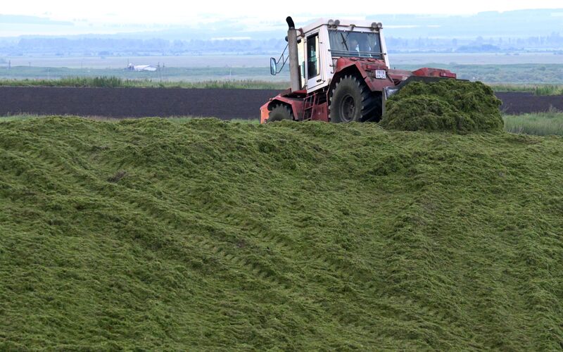 Russia Agriculture Alfalfa Harvesting