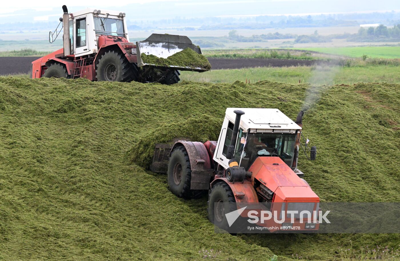 Russia Agriculture Alfalfa Harvesting
