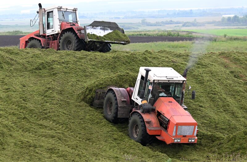Russia Agriculture Alfalfa Harvesting