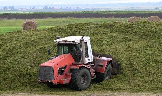 Russia Agriculture Alfalfa Harvesting