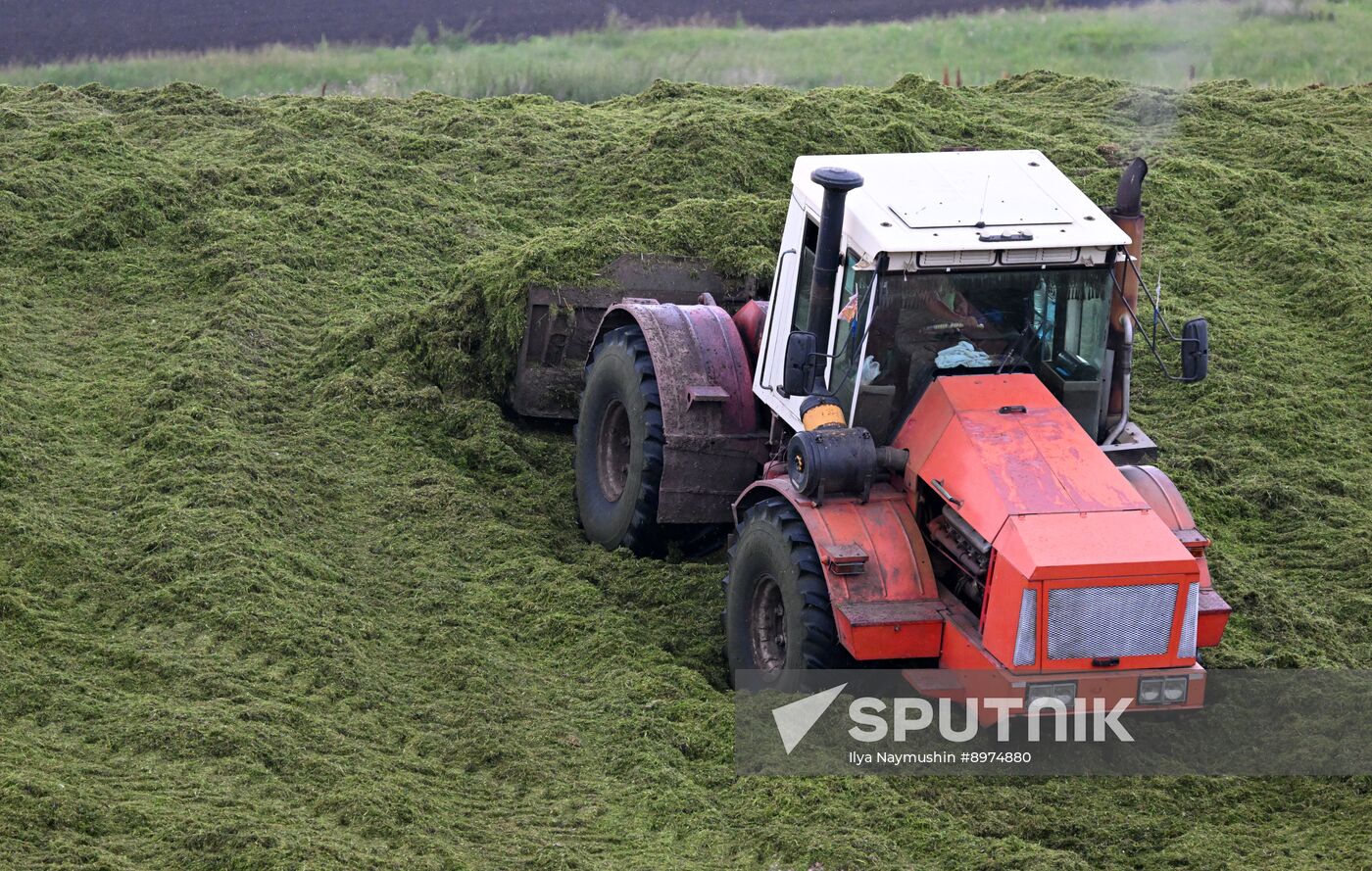 Russia Agriculture Alfalfa Harvesting